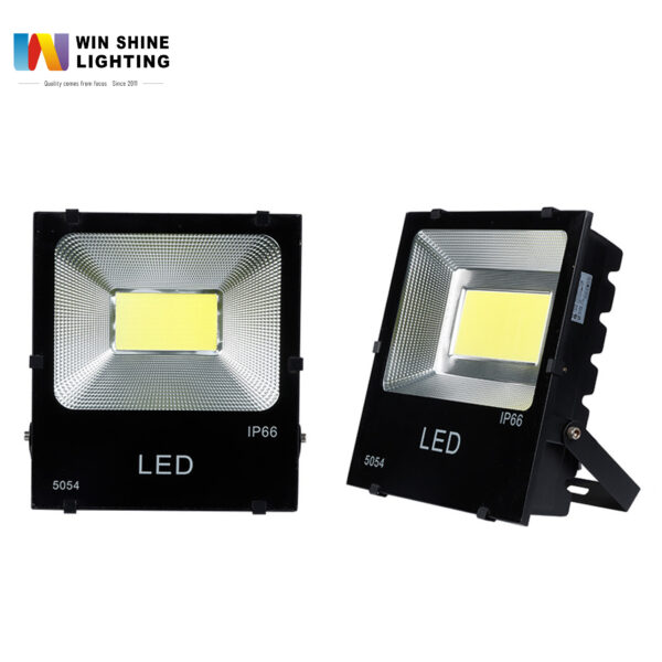 LED FLOOD LIGHTS(5054)