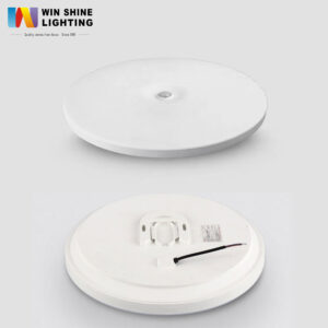 LED Ceiling Lamp(Induction)