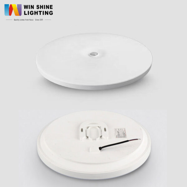 LED Ceiling Lamp(Induction)